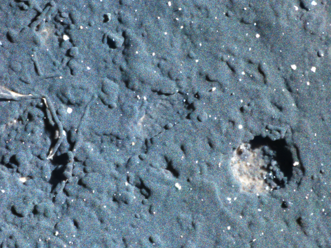 Aspectul microscopic optic al depunerilor de ceară